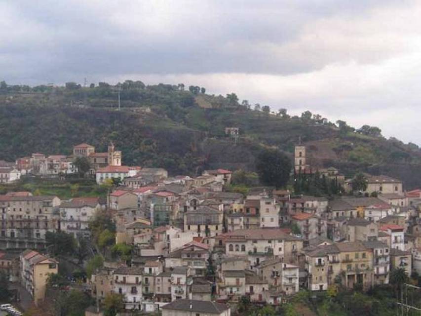 Topi, Fdl Luzzi attacca l&#039;amministrazione e difende il dirigente Montalto