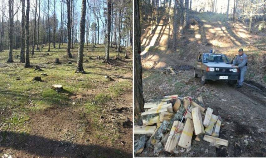 Sequestrata area boschiva a Rossano di 135ettari