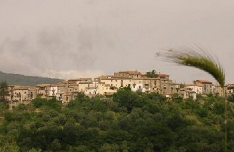 Sospetto caso Covid per una docente, chiuso il plesso di Lattarico Centro