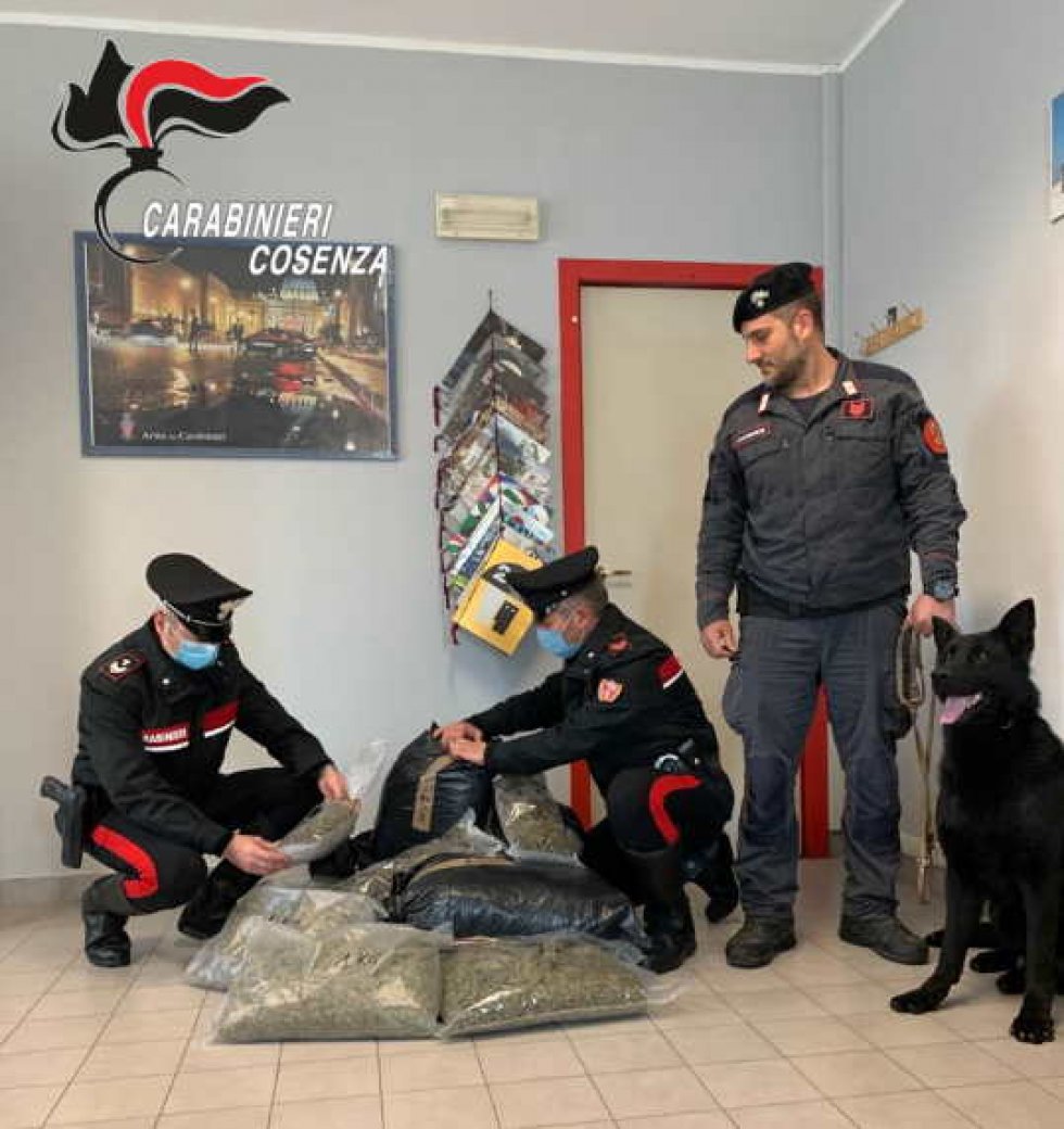 I carabinieri impegnati nell&#039;operazione 