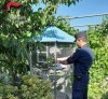 Una denuncia per detenzione di avifauna