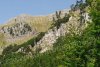 Riserve del Pollino: l&#039;appello dell&#039;associazione Acanto