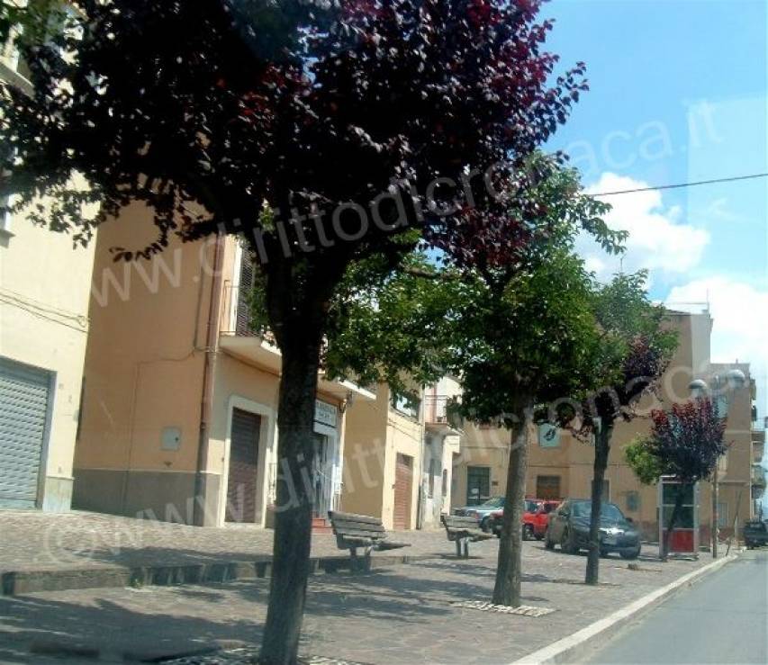 Sabato la premiazione del concorso "Leggere, scrivere e disegnare per Lauropoli"