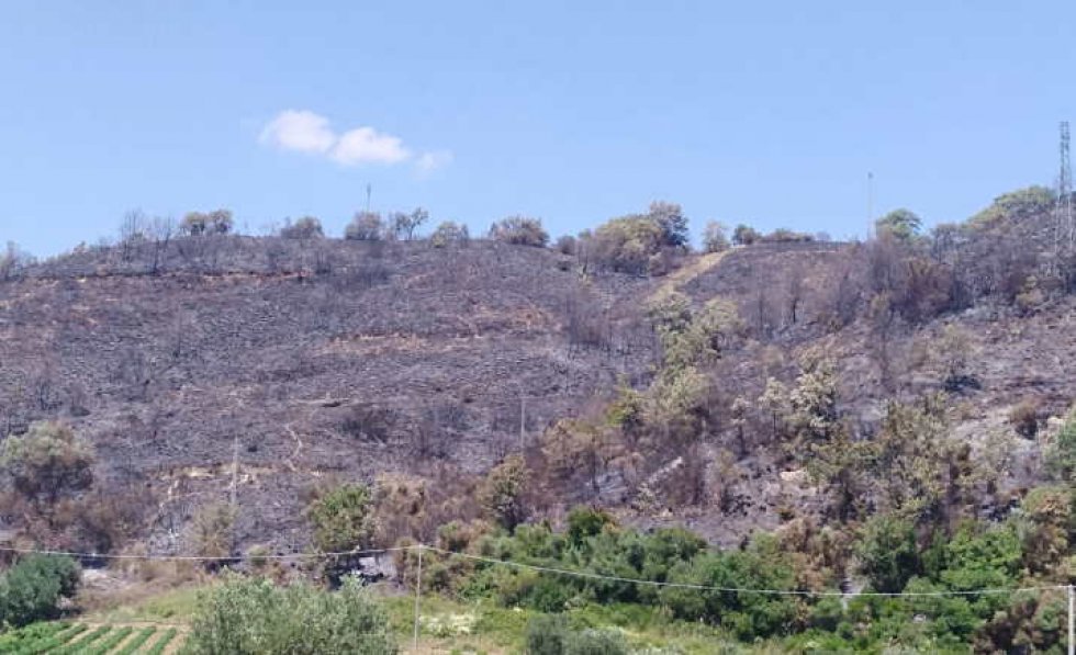 La collina divorata dalle fiamme 