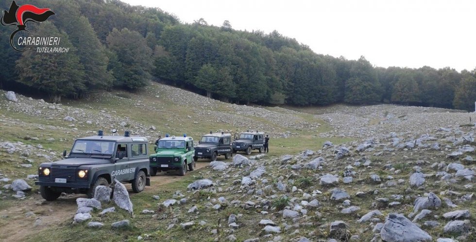 Parco del Pollino. Divieto di accendere fuochi, sanzionati turisti nell’area protetta