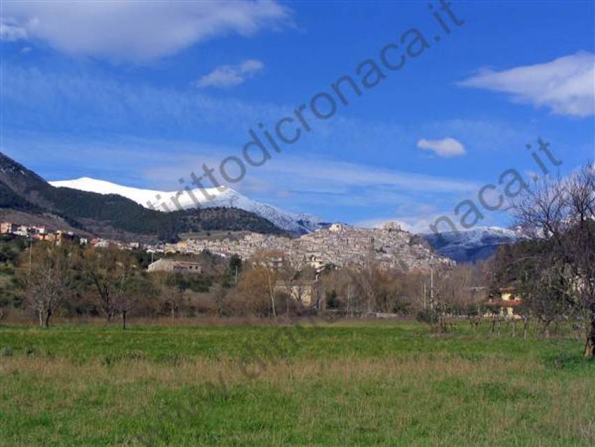 Carlo Ferrari riconfermato alla guida del Centro Anziani