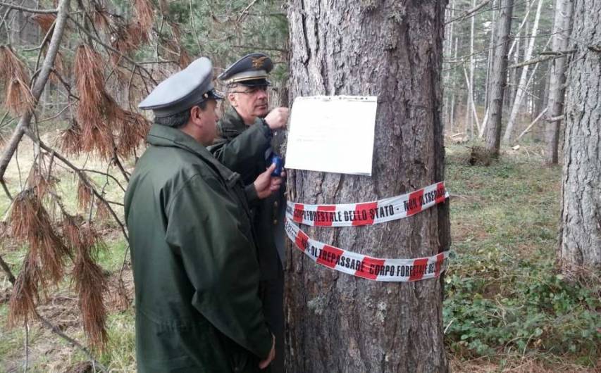 Posta sotto sequestro vasta area boscata di “Calabria Verde”