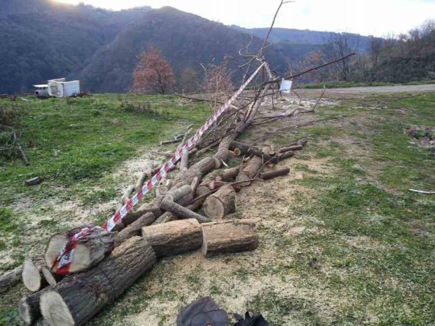 Controlli del Cfs lungo il torrente Jassa, due denunce