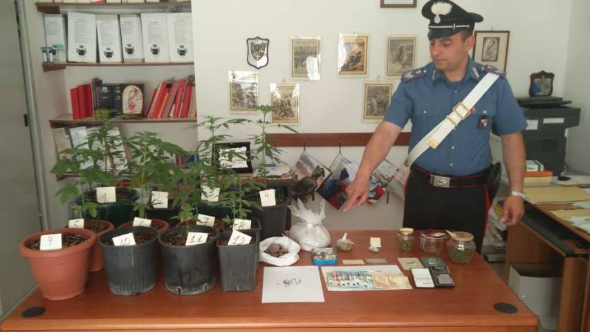 Arrestato 23enne per detenzione e produzione illecita di stupefacenti