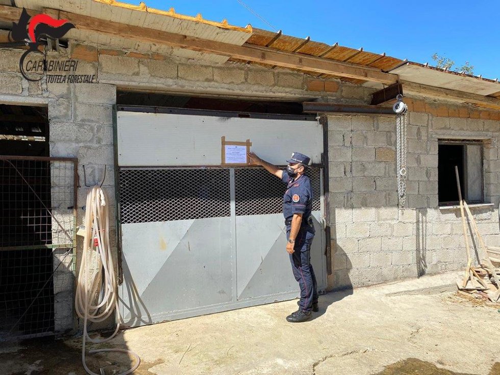 Montalto Uffugo. Posti sotto sequestro due fabbricati abusivi