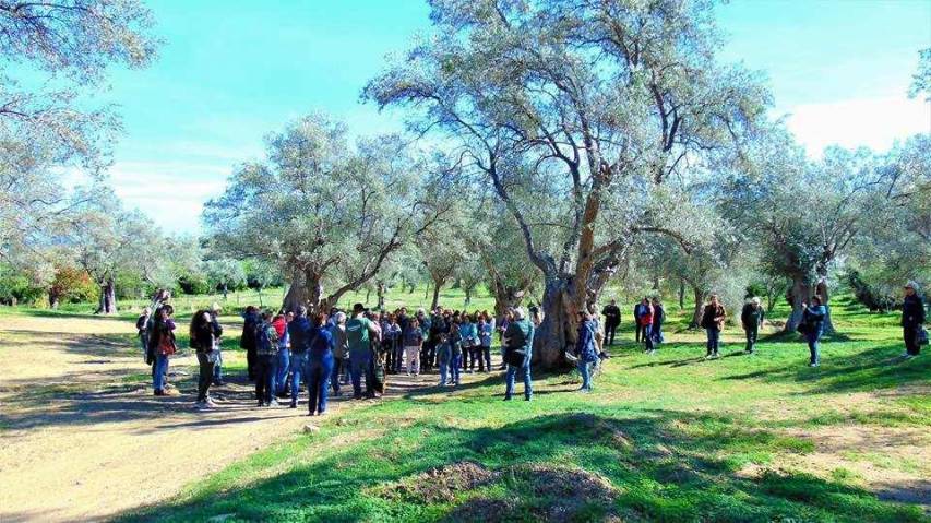 Camminata tra gli ulivi, tanta partecipazione