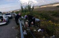 Ambiente e randagismo a S.Marco. I primi risultati della lotta ai trasgressori