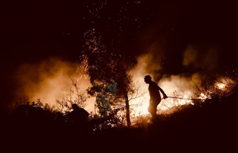 S.Sofia d&#039;Epiro, spento nella notte l&#039;enorme incendio. Interrotta anche l&#039;energia elettrica