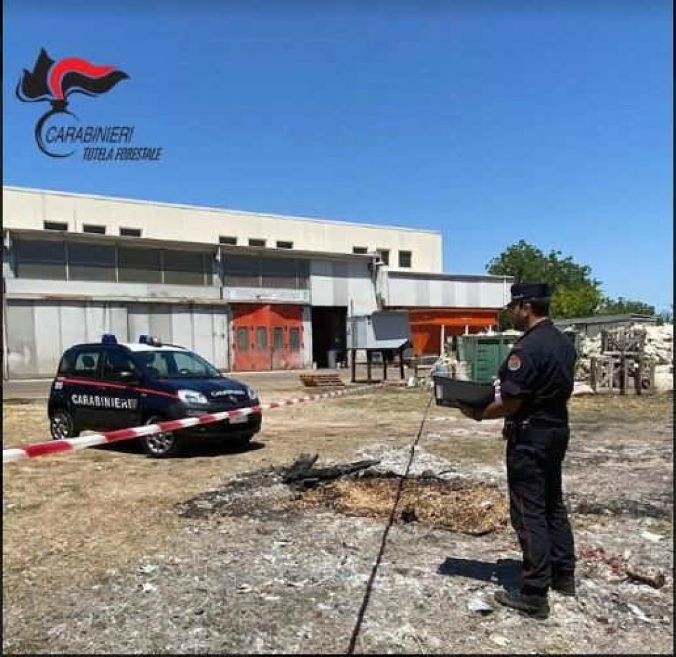 Il sequestro dei Carabinieri Forestali