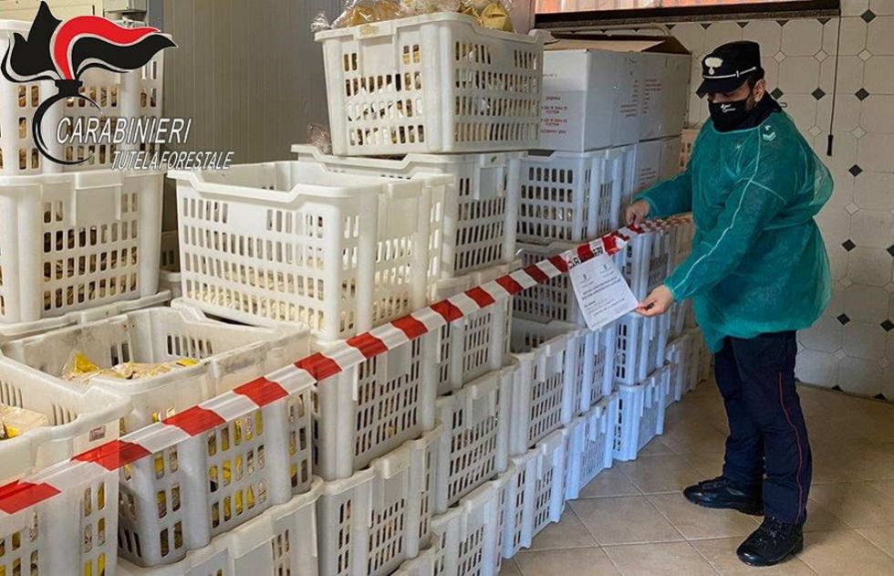 Sequestrati 13 quintali di prodotti di panificazione e pasta fresca a San Lorenzo