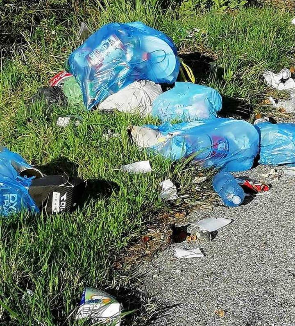 Rifiuti in bella mostra gettati per strada