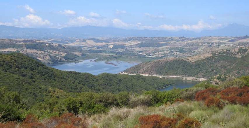 Pronto l'Atlante dei Mammiferi Terrestri della Riserva naturale regionale del Lago di Tarsia