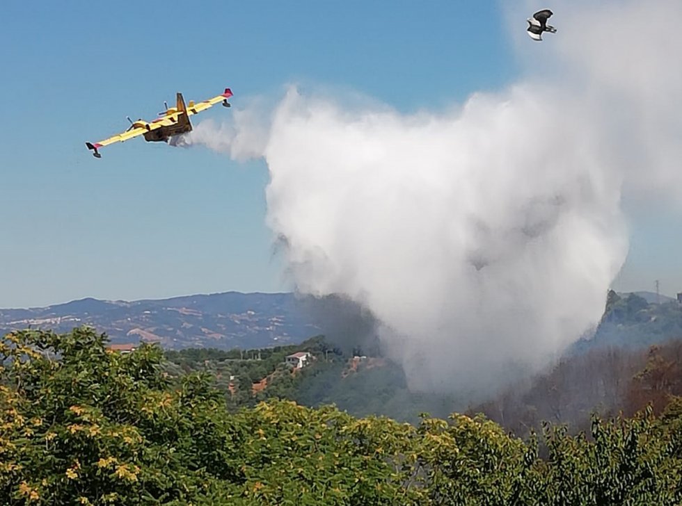 Torano, fiamme a ridosso del centro abitato. In azione i Canadair