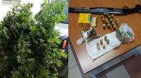 Marijuana, fucile e munizioni rinvenuti e sequestrati