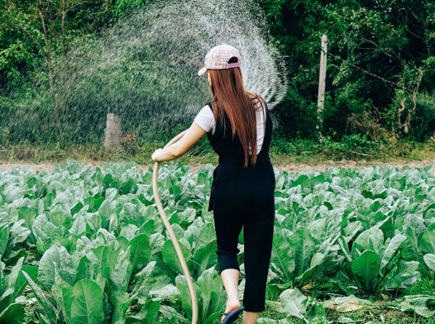 Agricoltura, AIC: bene App “Resto in Campo” ma il Governo faccia di più