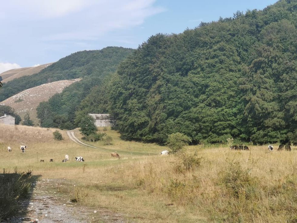 Saracena. Il sindaco Russo chiede più controlli per il territorio montano