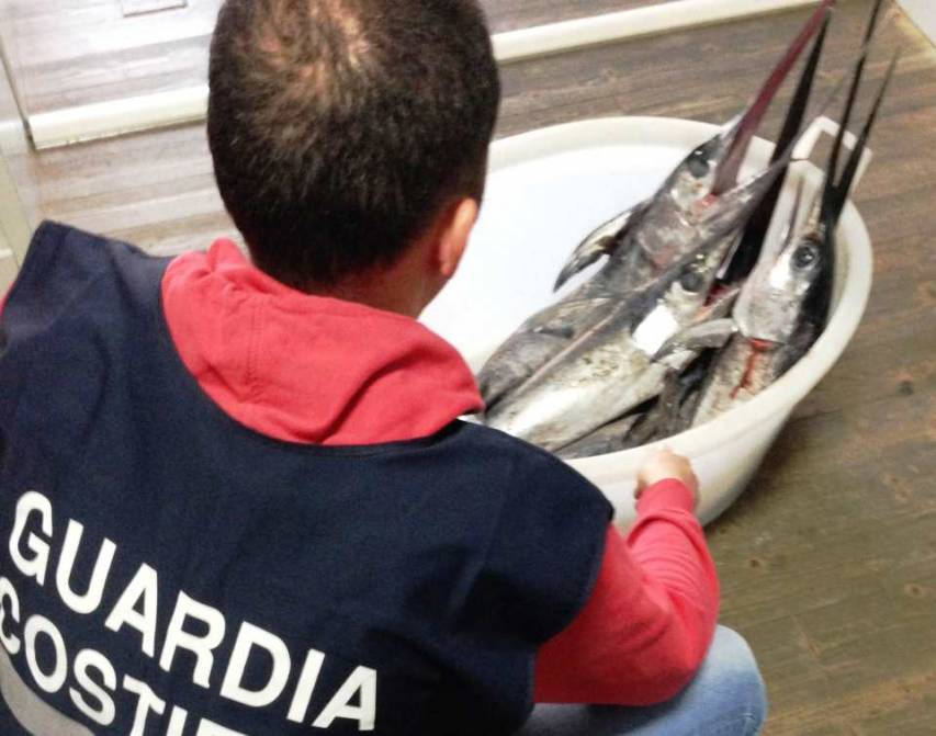 Sequestrati a Roseto 30kg di pesce spada dalla guardia costiera