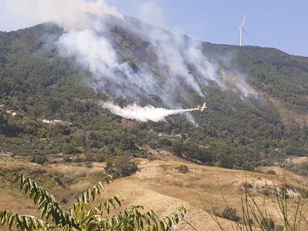 Cerzeto, castagneti in fiamme. Impegnati mezzi aerei per domare l’incendio