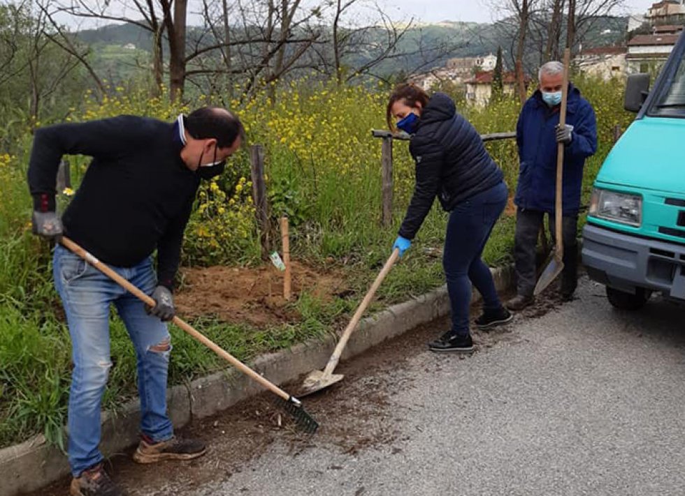 L’AIFVS di Bisignano celebra la Giornata Mondiale della Terra con la messa a dimora di piante. Il plauso del Comune