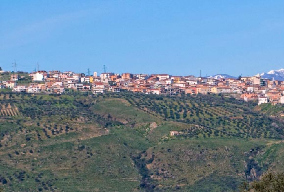 Un panorama di Terranova 