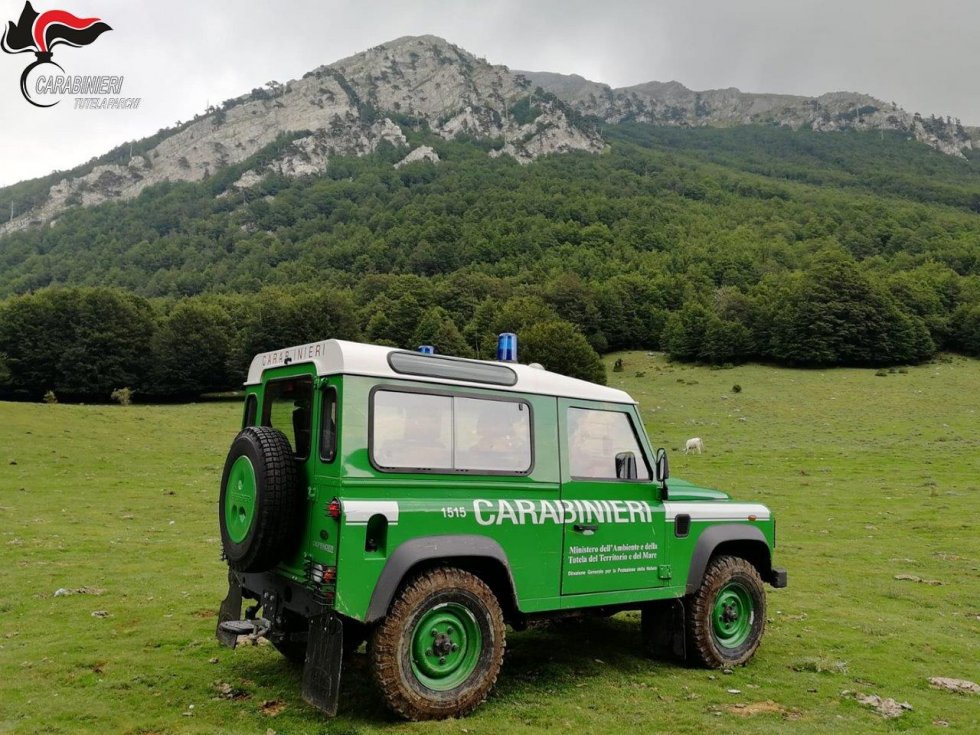 La tutela del Parco del Pollino, il bilancio 2020 dei Carabinieri Forestale