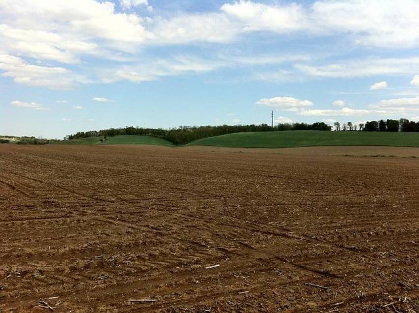 "Salvare i suoli agricoli". L'appello di Filippo Giorno