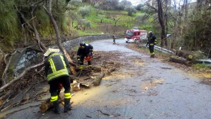 Albero colpito da un fulmine, a Sant'Agata intervengono i Vigili del Fuoco