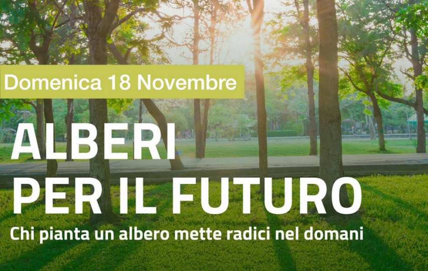 Il MeetUp Castrovillari aderisce ad "Alberi per il futuro"