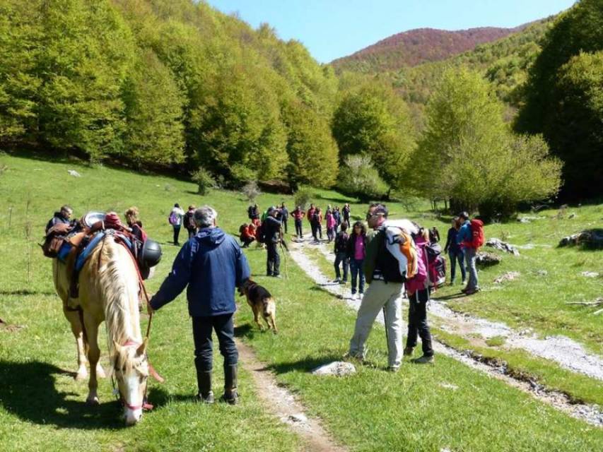 Novacco invaso dai turisti