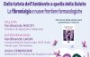 Fibromialgia: un convegno a Spezzano Albanese