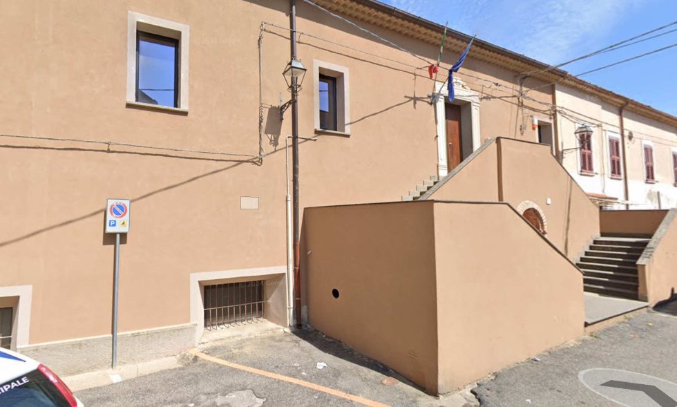 Cani randagi a Terranova, l’Amministrazione chiarisce