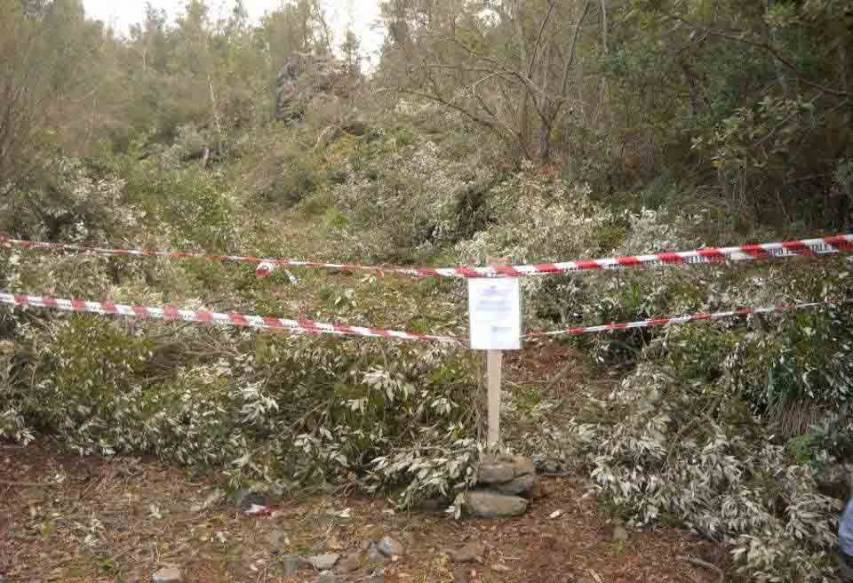 Il Cfs intensifica i controlli sul Parco del Pollino per evitare il furto di legna