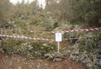 Il Cfs intensifica i controlli sul Parco del Pollino per evitare il furto di legna