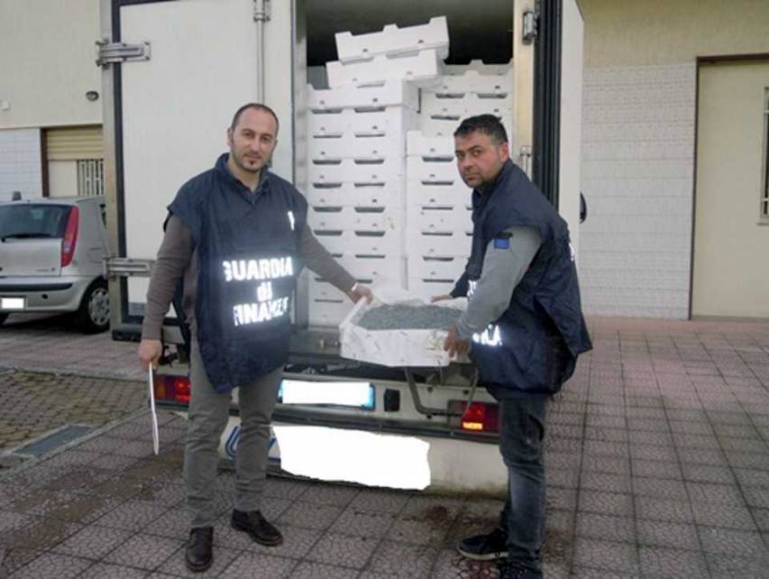 Maxi sequestro di novellame di sarda nella sibaritide