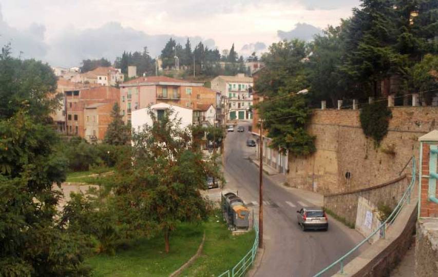 86enne a Roggiano cade da un albero e muore