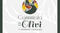 San Basile e Saracena gemellaggio tra gli ulivi