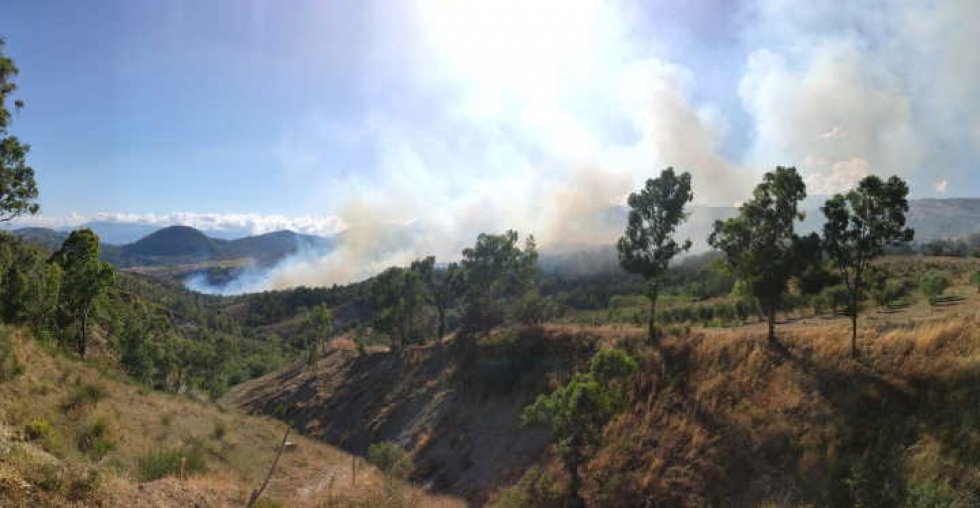 Il vasto fumo provocato dall'incendio 