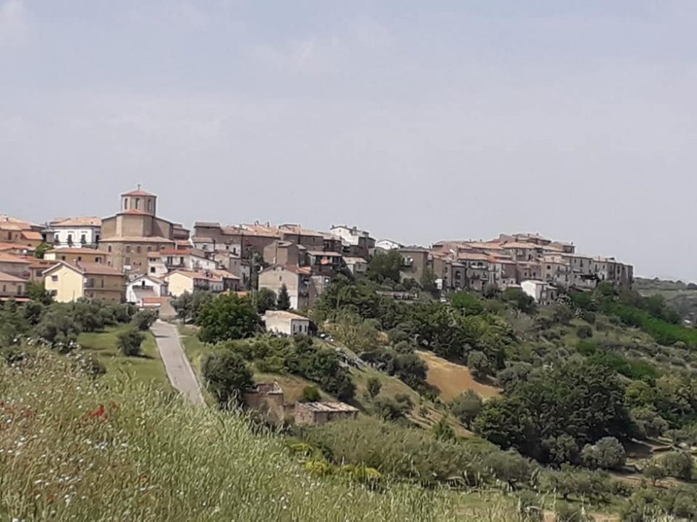 Anche a Lattarico il centro estivo per bambini e ragazzi