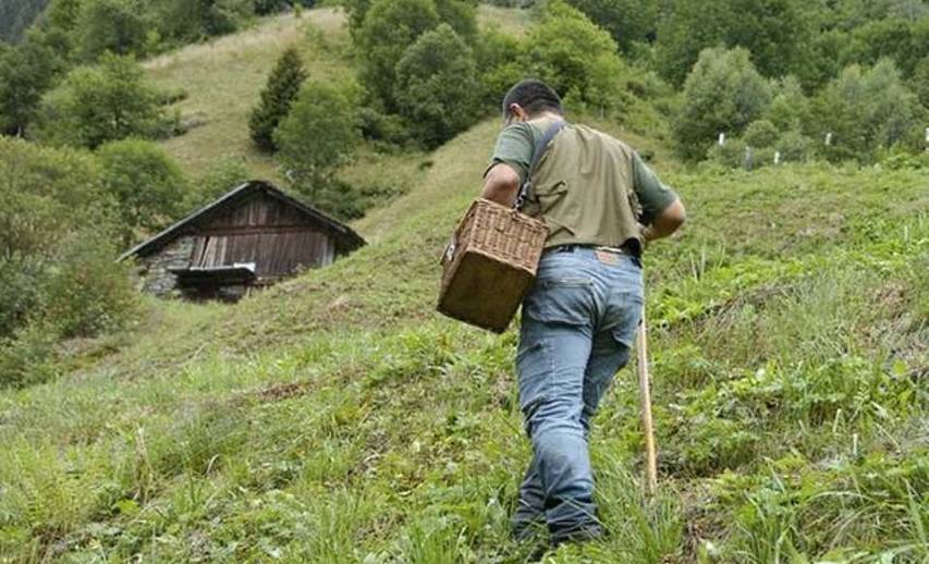 Cercano funghi in Sila e perdono l'orientamento. Ritrovati dalla Polizia due anziani