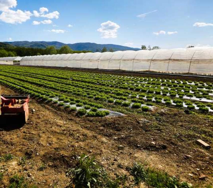 Una cooperativa agricola