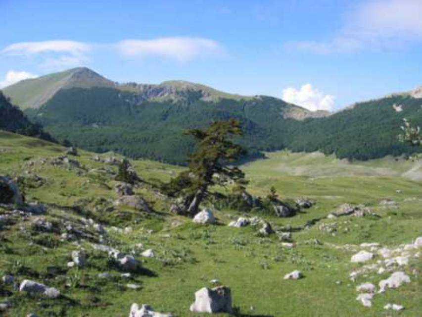 Uno scorcio del Parco Nazionale del Pollino