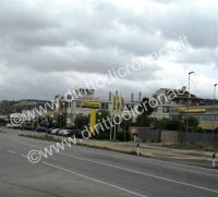 Cresce la preoccupazione dopo l’incendio Agrizoogarden