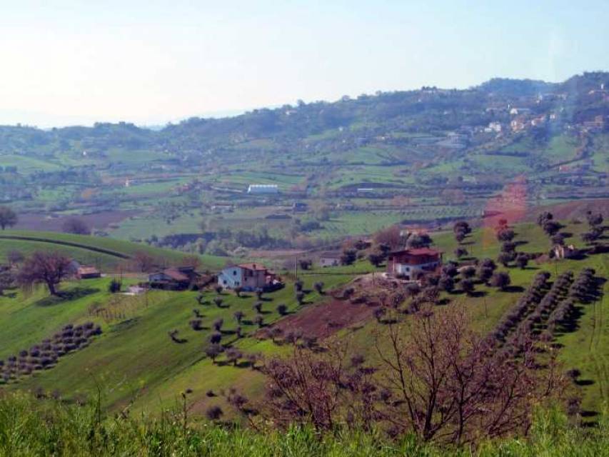 San Marco, territorio a vocazione agricola