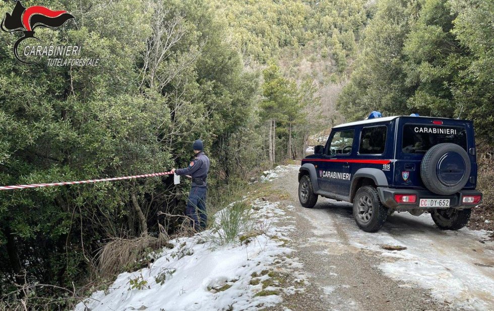 Tagli boschivi. Sequestri e denunce a Morano Calabro