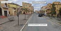 Al via la piantumazione di nuovi alberi